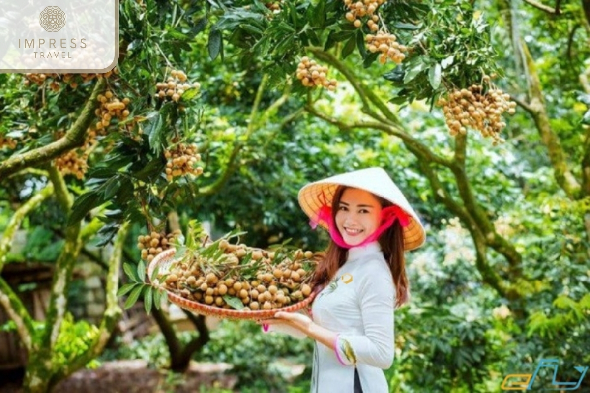 Fruit Picking at Ba Hiep Orchard Fruit Tour