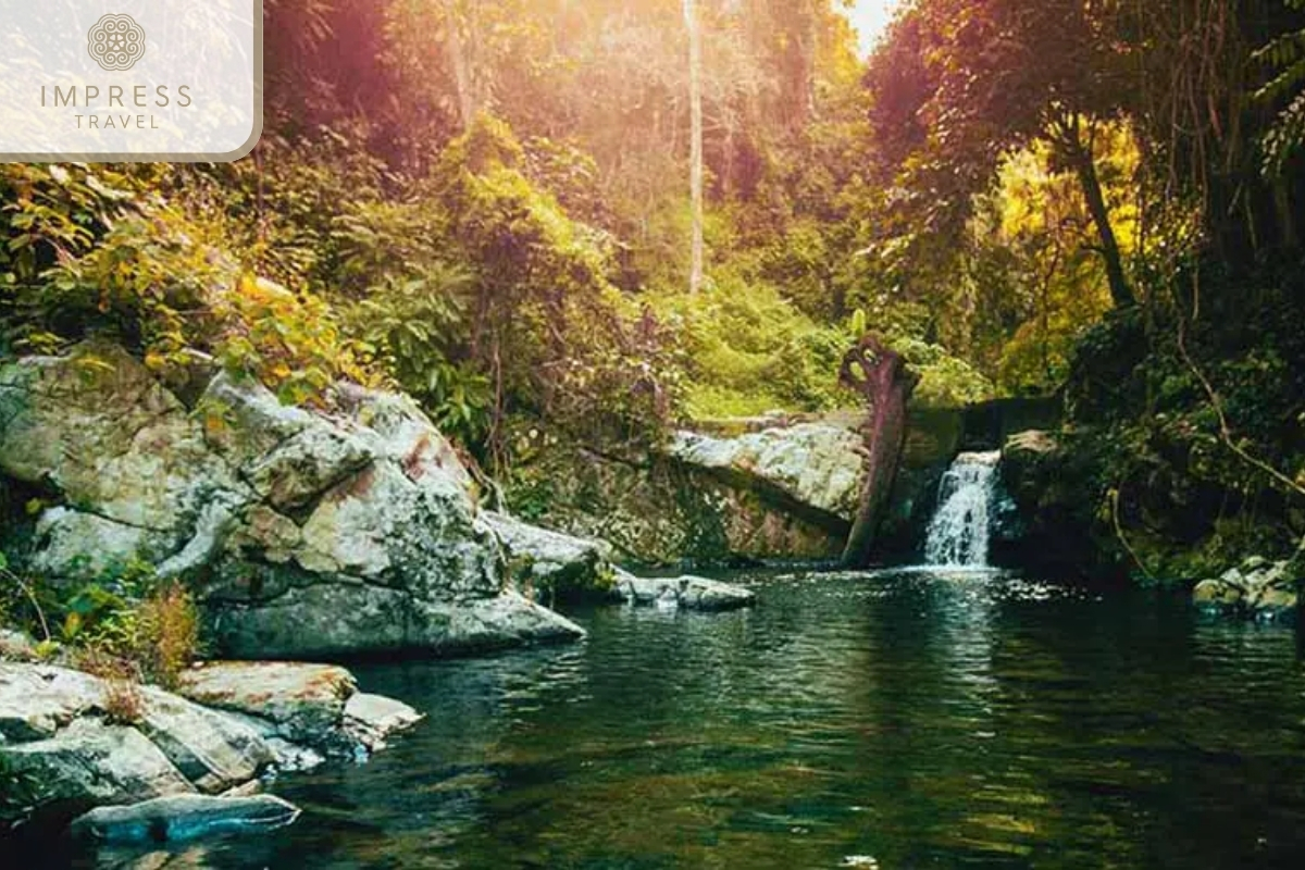 Rich flora and fauna-Silver Waterfall in Sapa Tour 