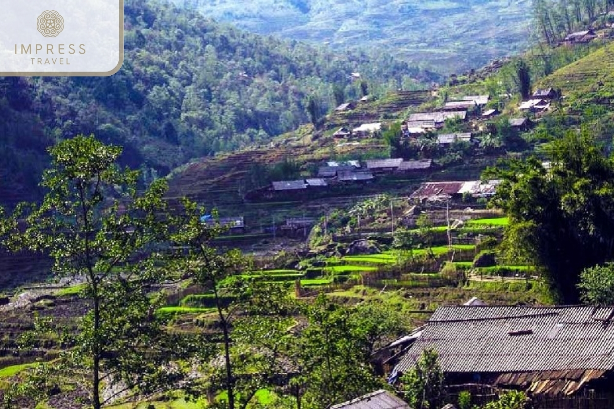 Sin Chai Village tour from Sapa