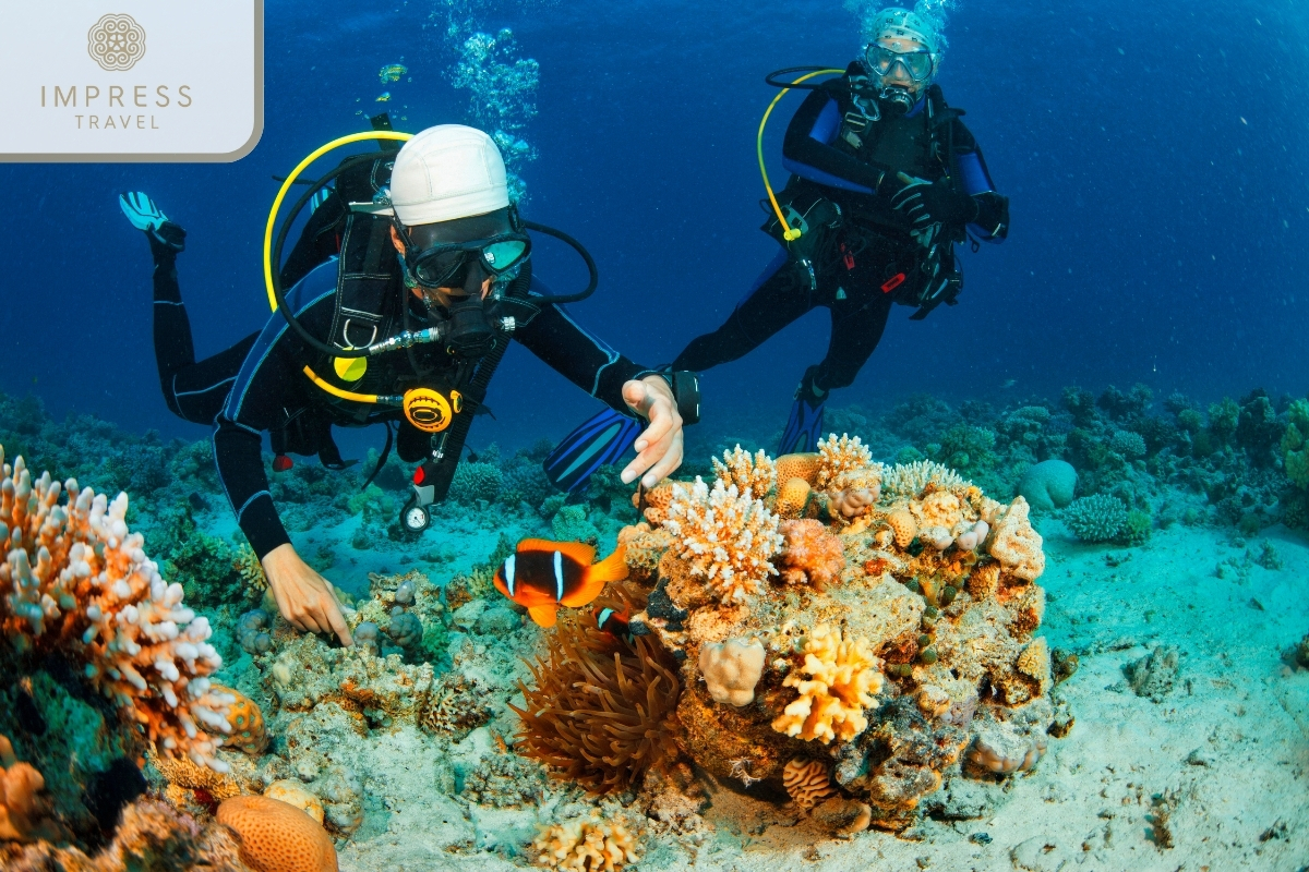 There is an accompanying guide in Snorkeling Tours to Hon Tre Islet