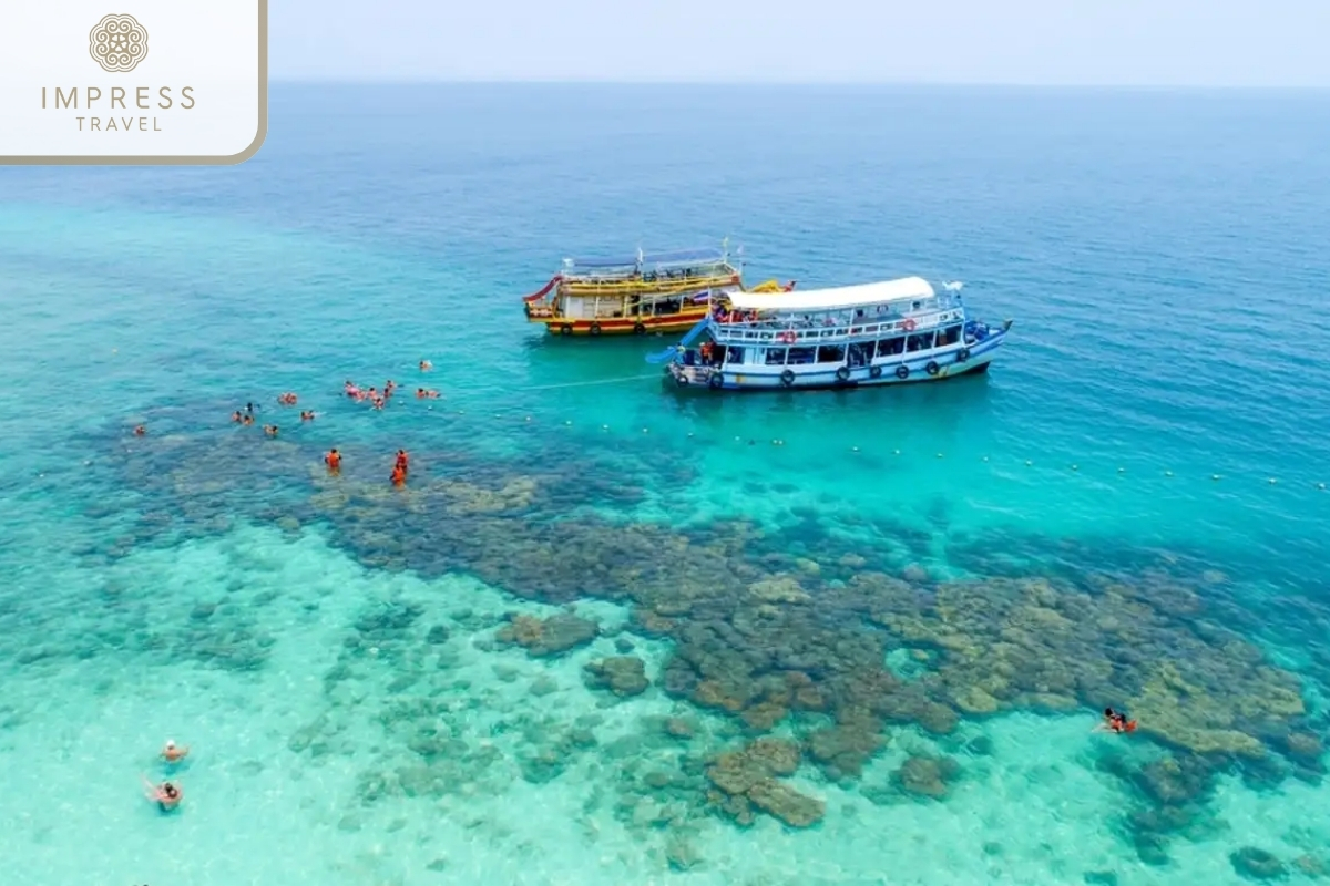 Seas filled with corals seen from above