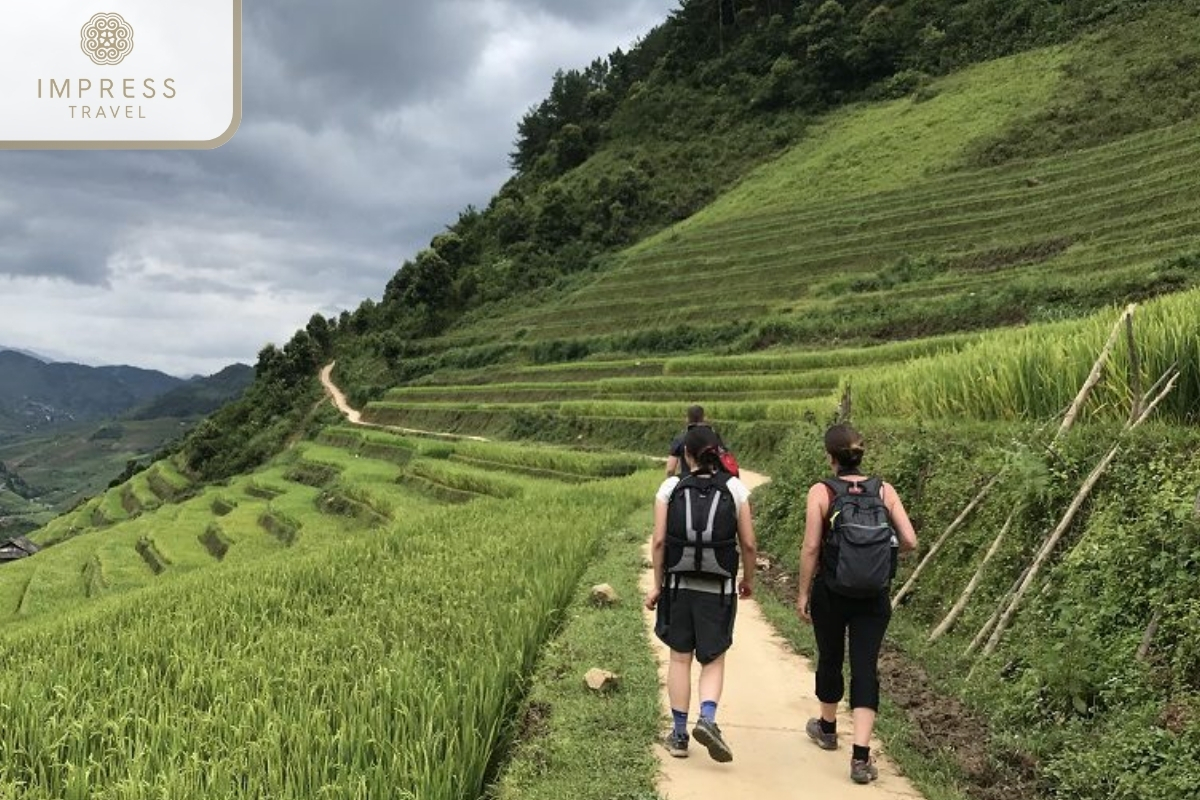 Trekking through lush green rice fields in Stay at See Bungalow and Trekking Tour in Mu Cang Chai