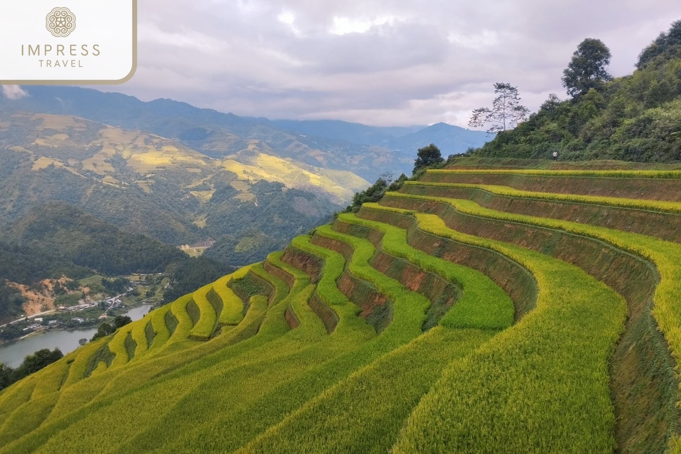 Mu Cang Chai of Stay at Wind is Homestay and treking tours in Mu Cang Chai