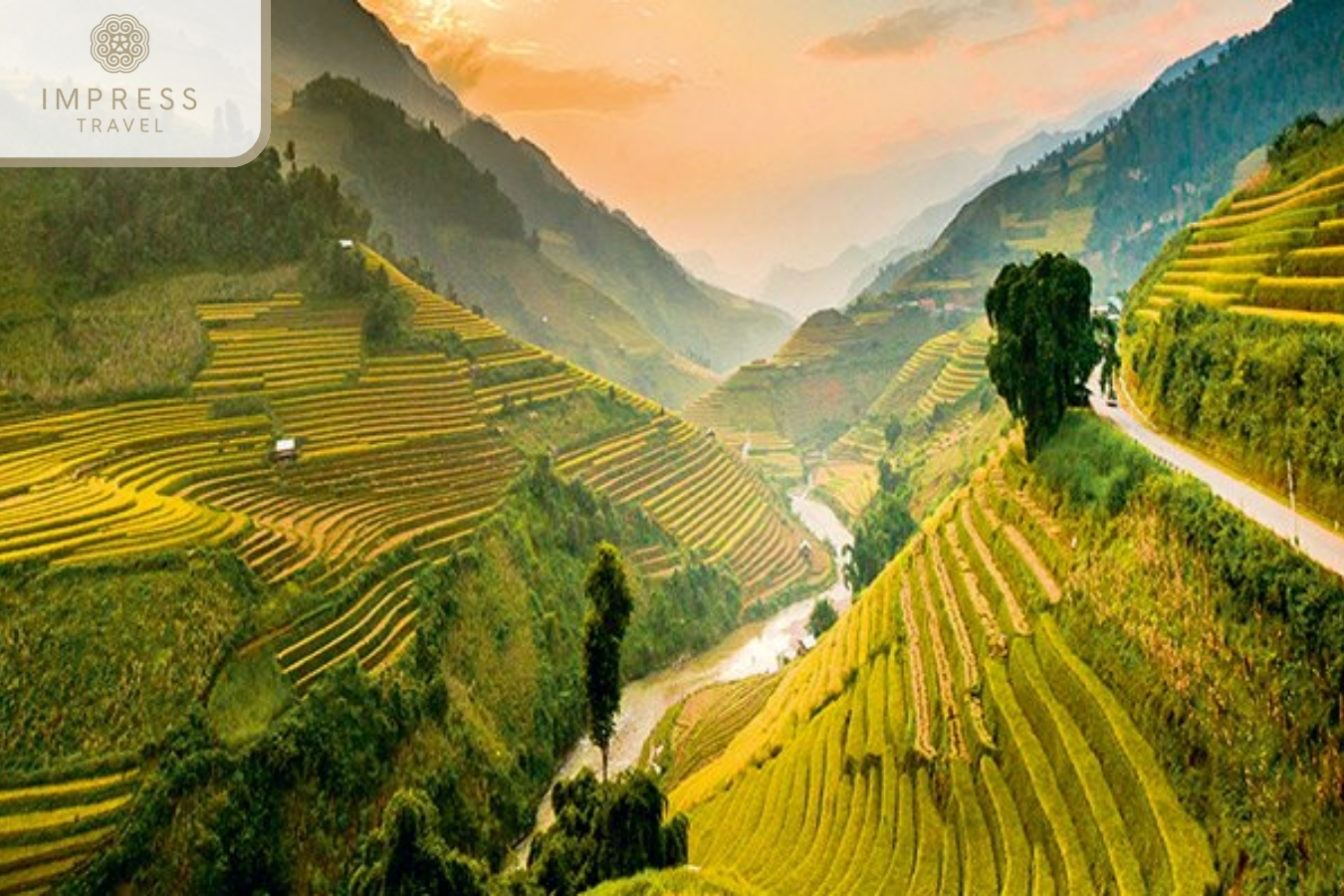 Tu Le Valley of Stay at Wind is Homestay and treking tours in Mu Cang Chai