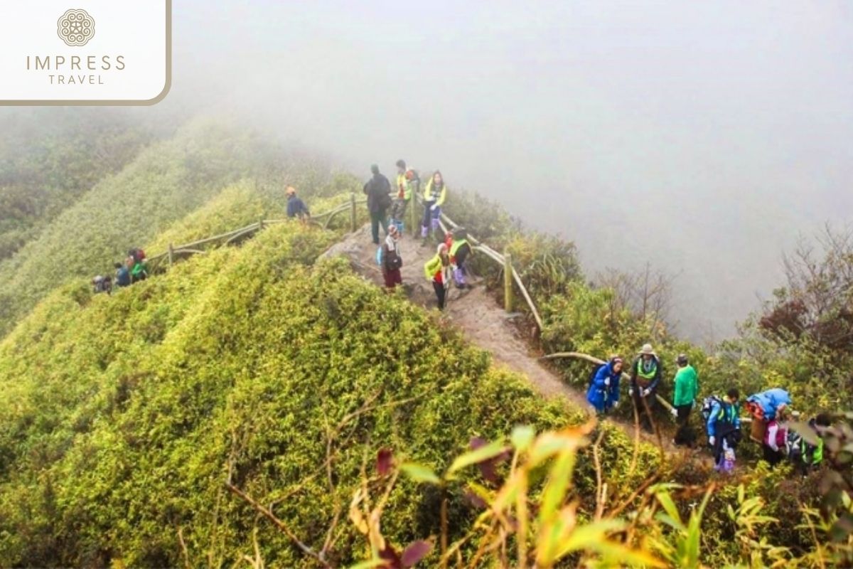 The Challenging: Trekking Tours To Conquer Fansipan Mountain 