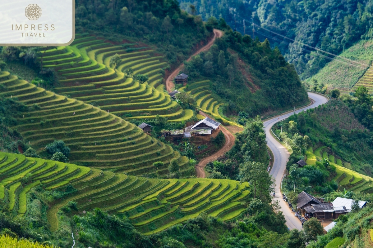 Mu Cang Chai is 300 km northwest of Hanoi