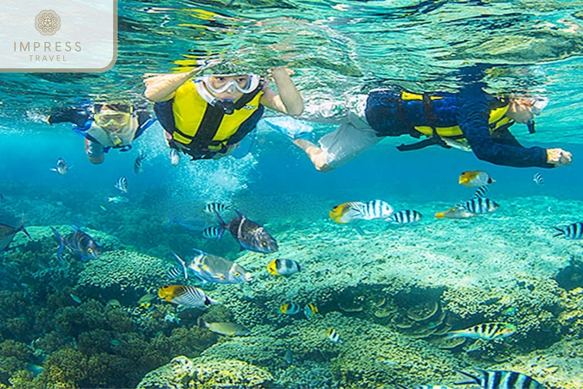 Explore Vibrant Coral Reefs