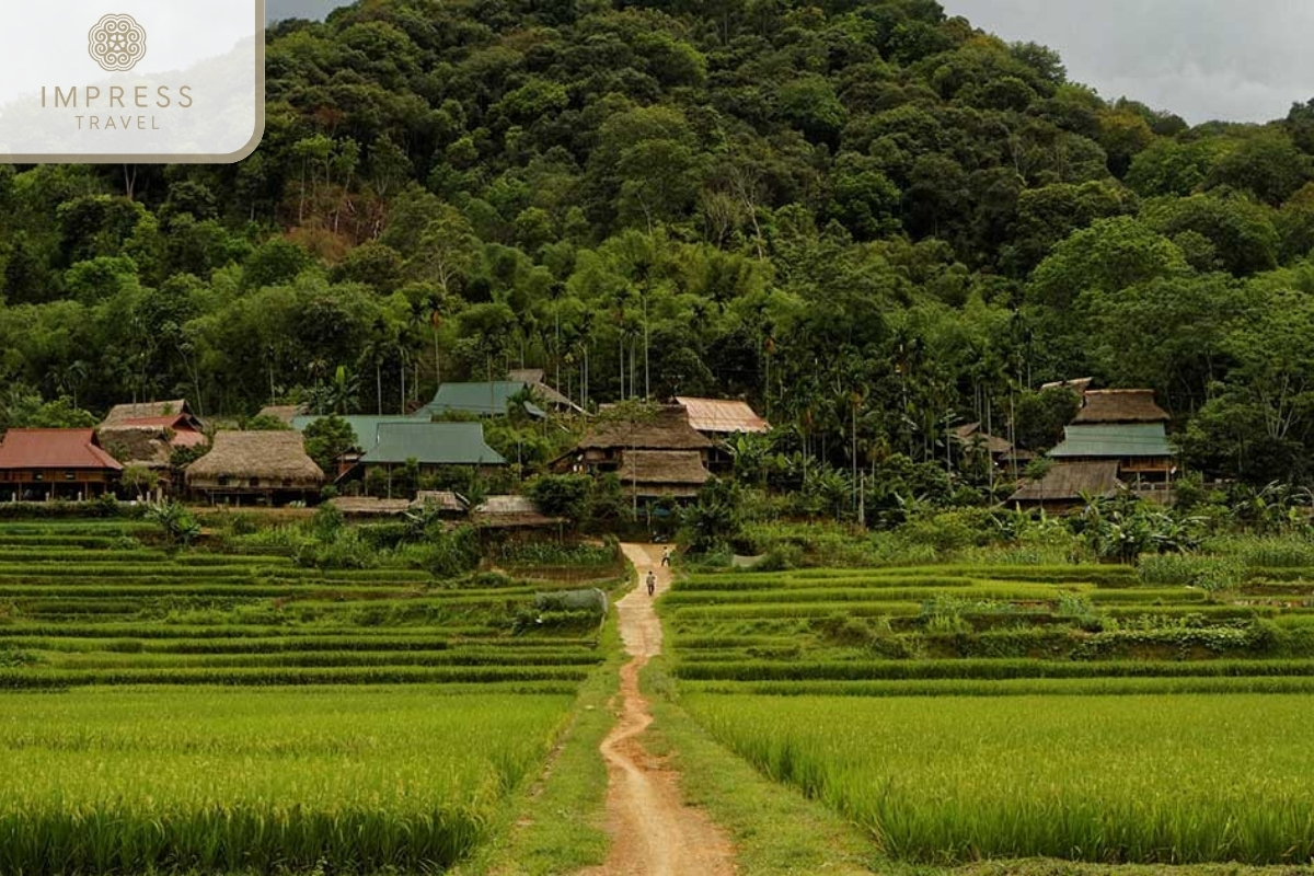 Pu Luong Nature Reserve- great trekking tour in Pu Luong Nature 