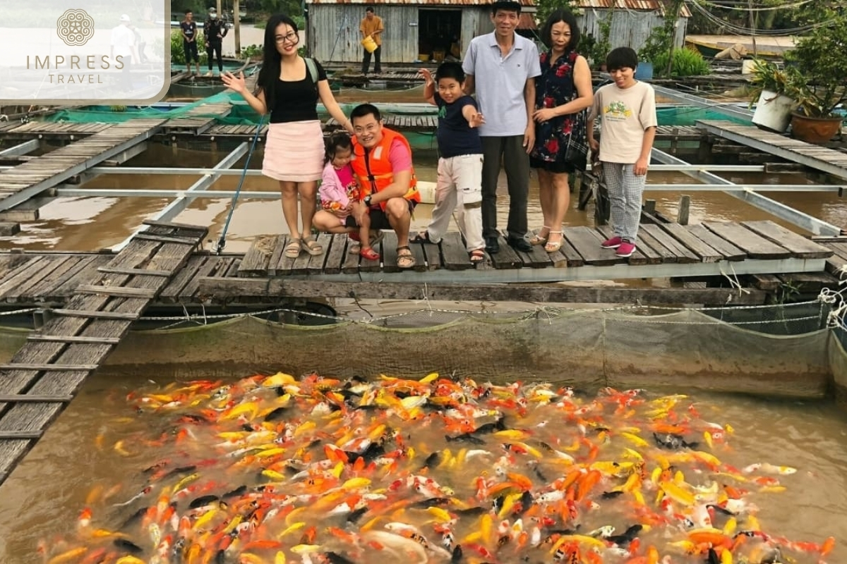 Fish Watching and Feeding in tour of the Con Son islet