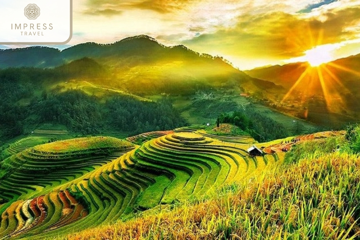 Terraced Rice Fields in Pu Luong Natura Plus Trekking Package Tours