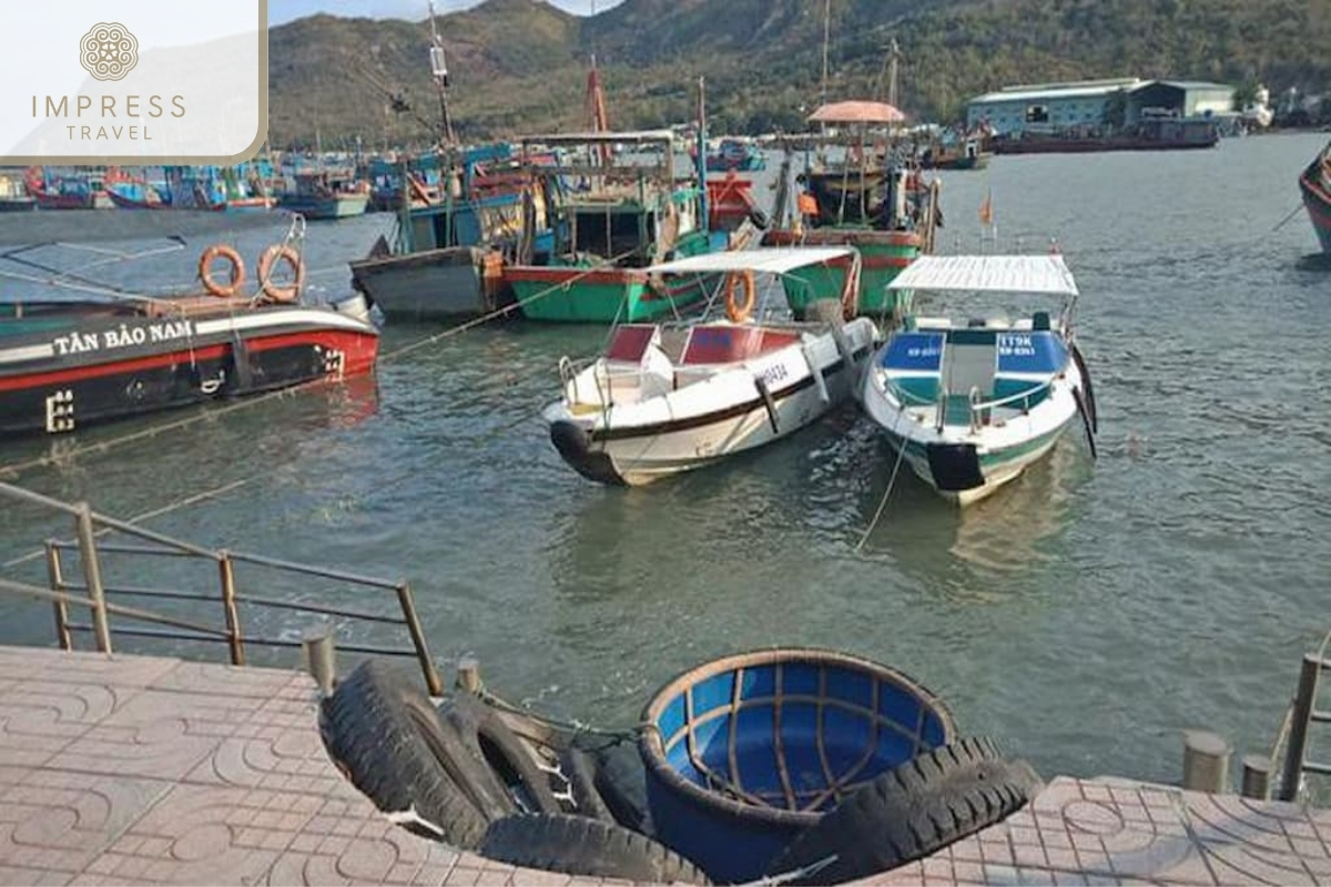 Vinh Truong Port in Emperor Cruise Tour in Nha Trang