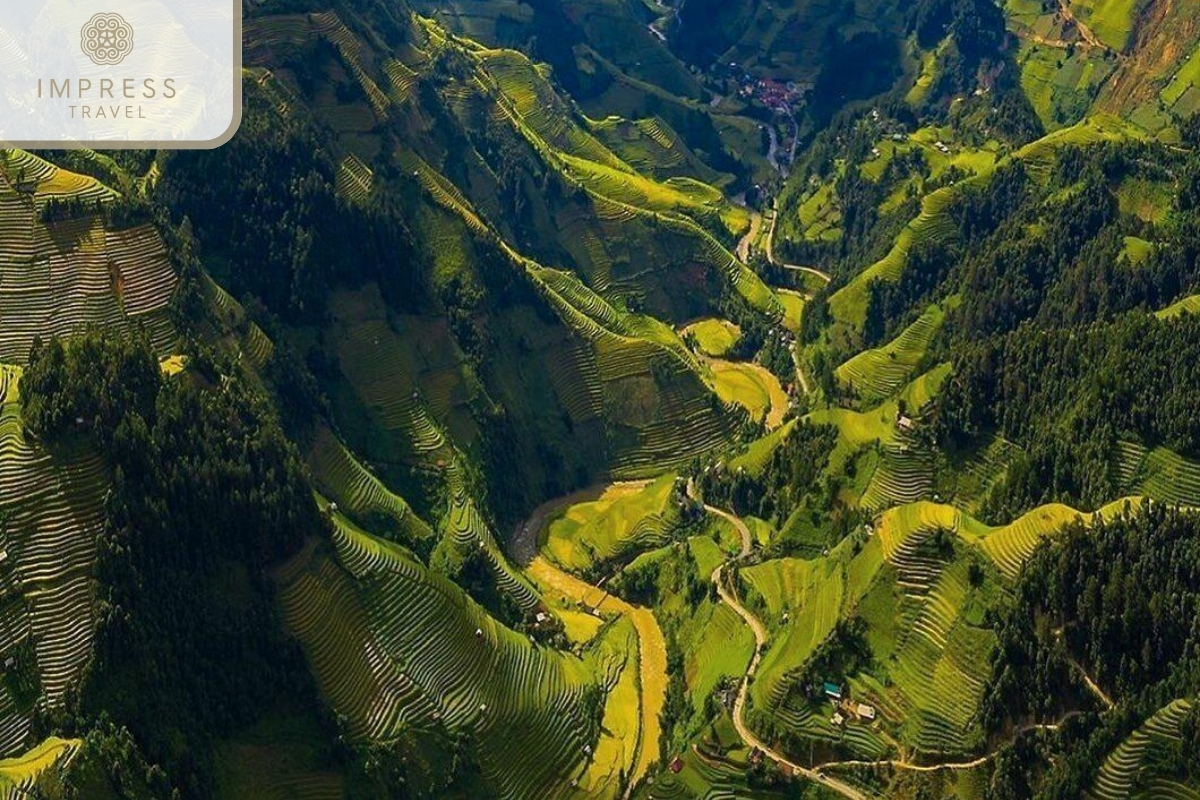  Khau Pha Pass in Mu Cang Chai Indigenous Homestay, Trek, and Food Tour