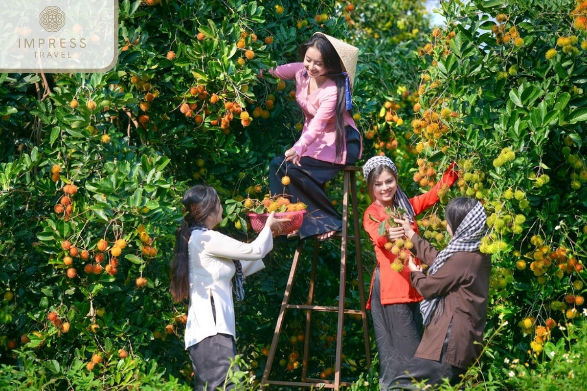 Fruit Garden Visit in tour of the Con Son islet