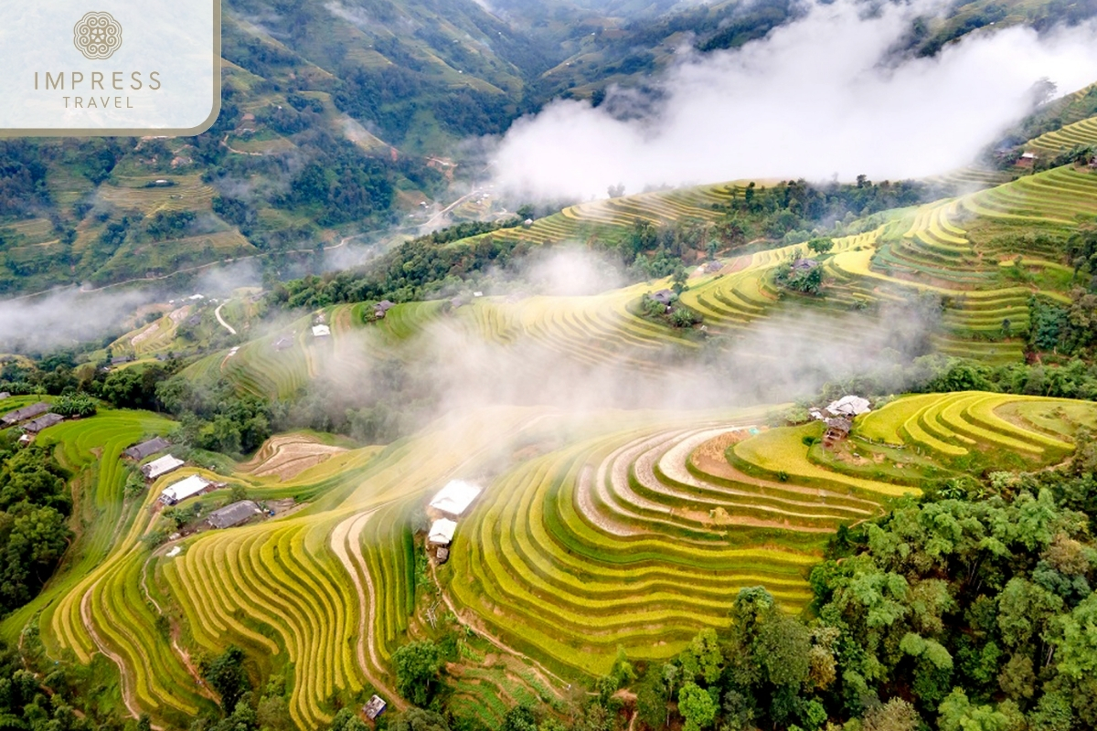 Terraced Fields in Trekking Tours & Stay at Pu Luong Riverside Lodge in Hieu Village