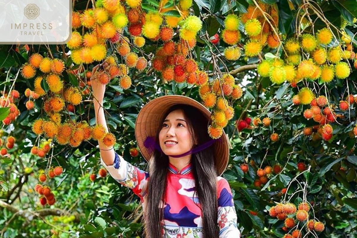  Fruit Garden in My Tho Mekong Tour half day to visit floating fishing villages