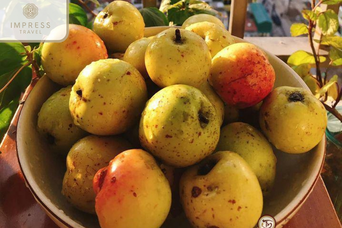 Wild Apples in Mu Cang Chai Indigenous Homestay, Trek, and Food Tour