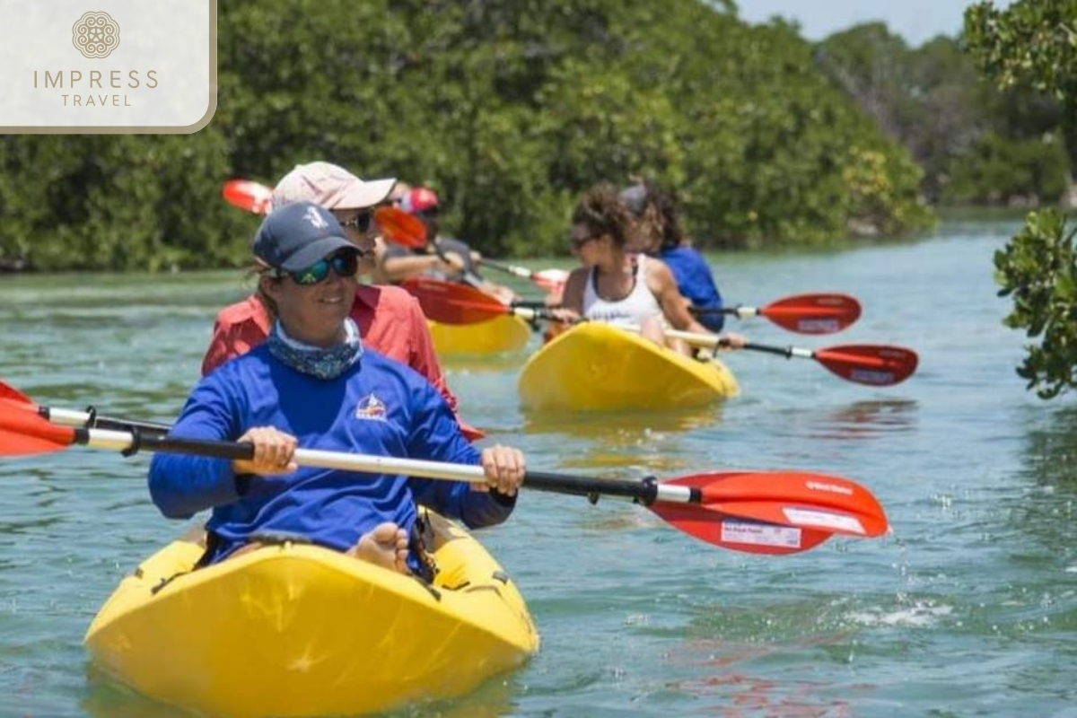 Kayaking and Eco-Tours