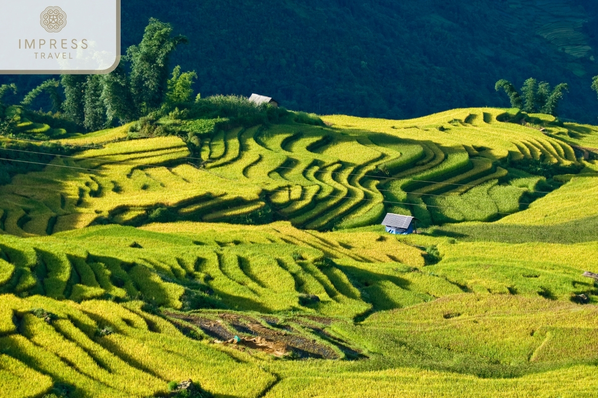 Mu Cang Chai for the levels of trekking in the Mu Cang Chai Rice Terraces