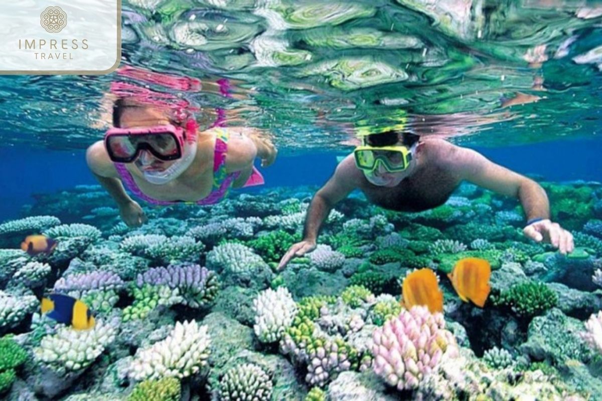 Snorkeling at Hon Gam Ghi 