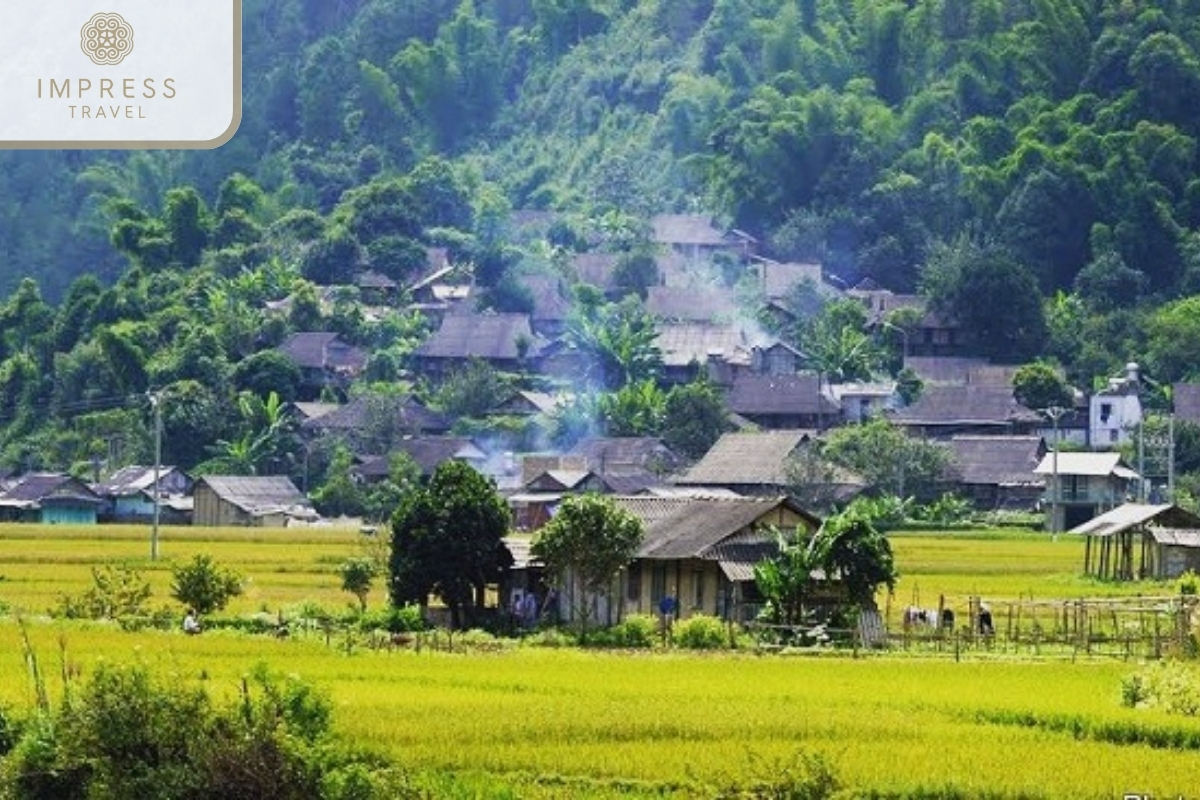 Lim Thai Village