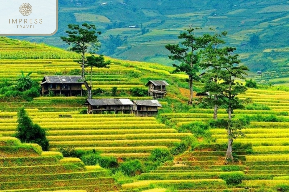 Tu Le Commune - villages to see when traveling to Mu Cang Chai