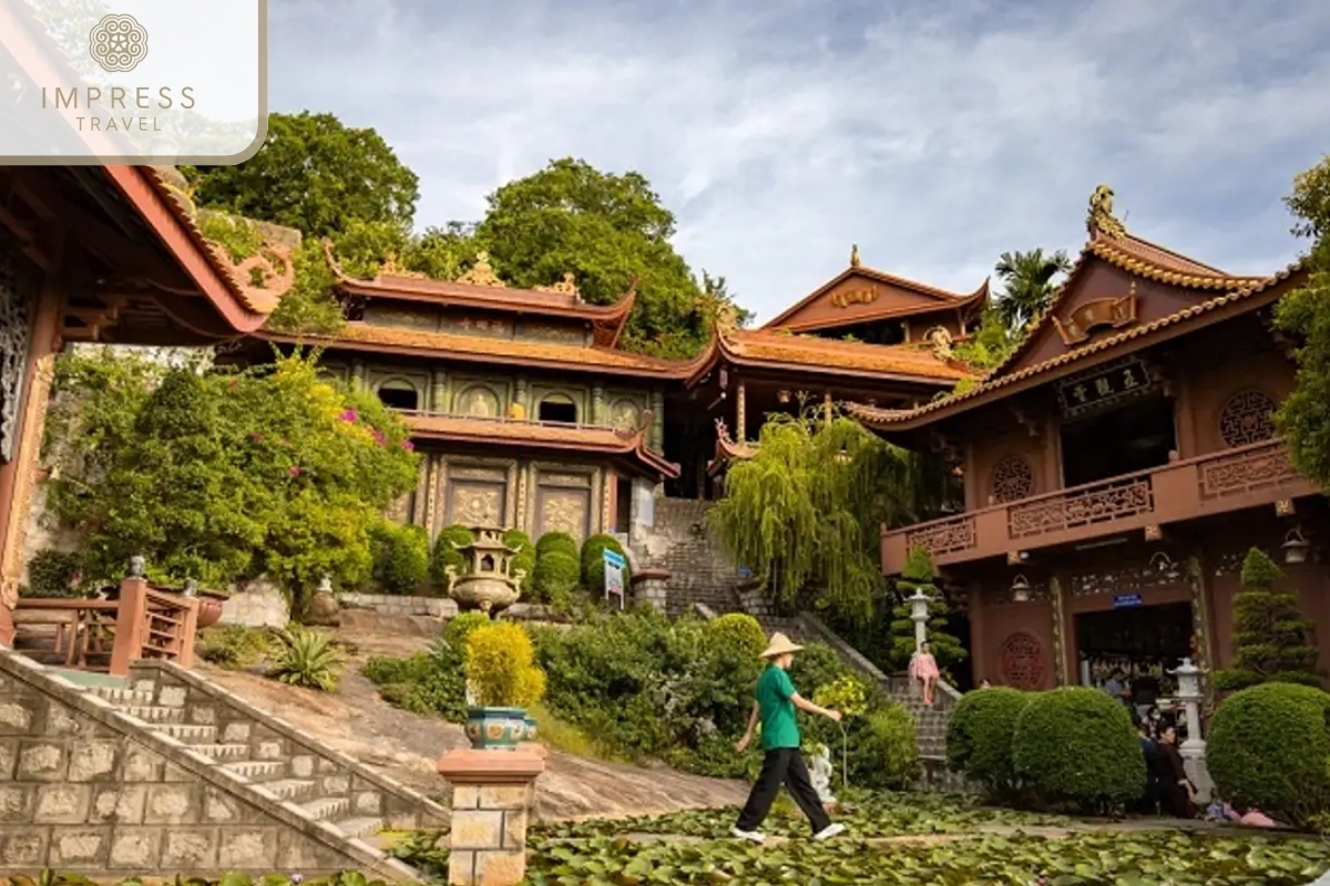 Hang Pagoda in Tour to explore wild birds Sanctuary Tra Su forest