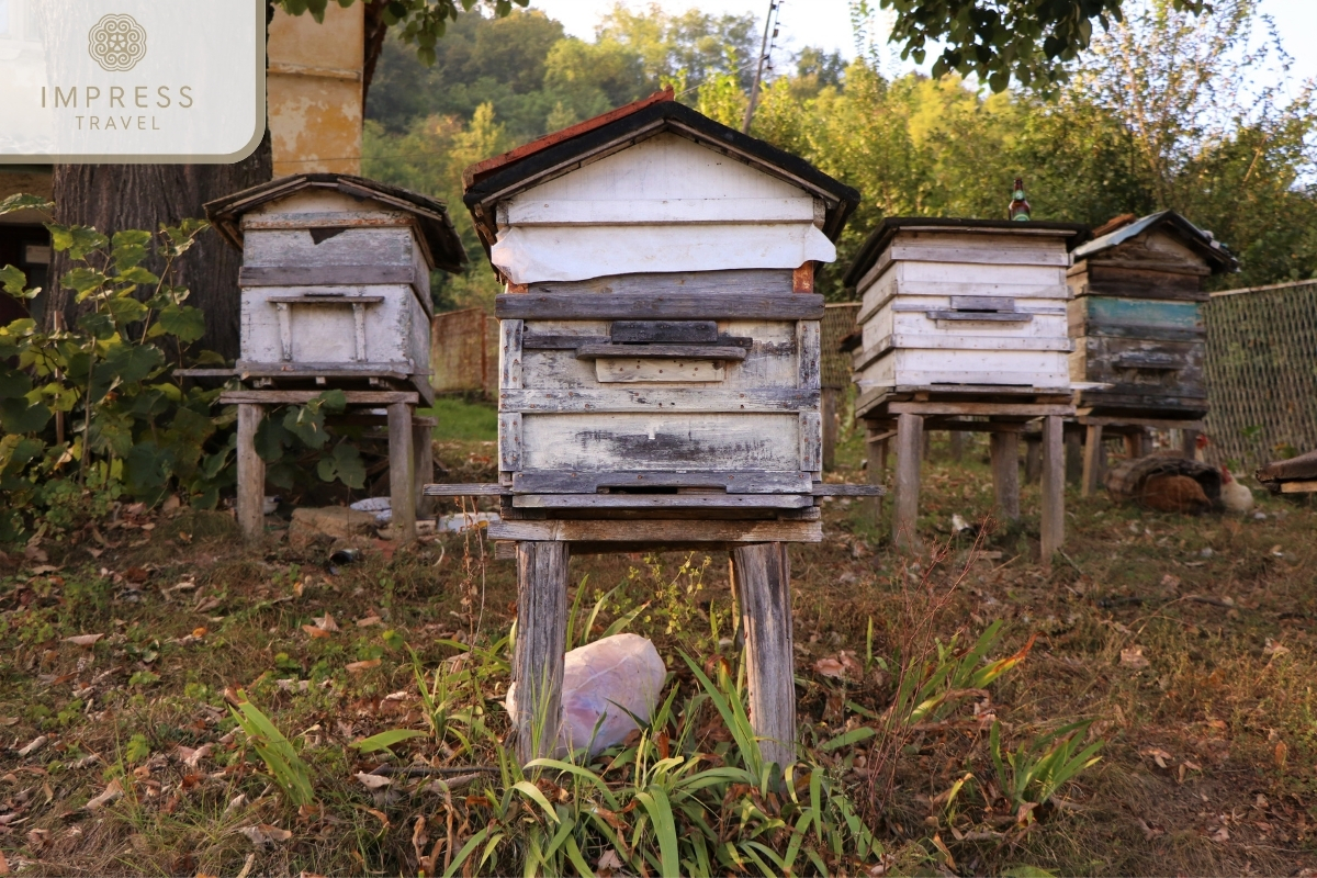 the bee house - visit the bee house in the Mekong Delta