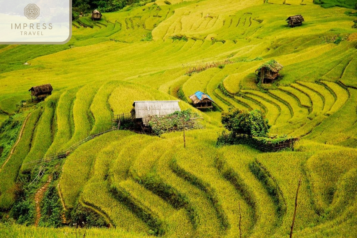 Che Cu Nha Terraced Fields in of Hmong ethnic groups in Mu Cang Chai