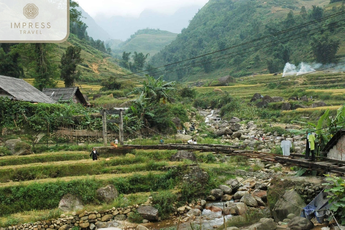  Trekking tour from Lao Chai to Ta Van by Sapa Tours 