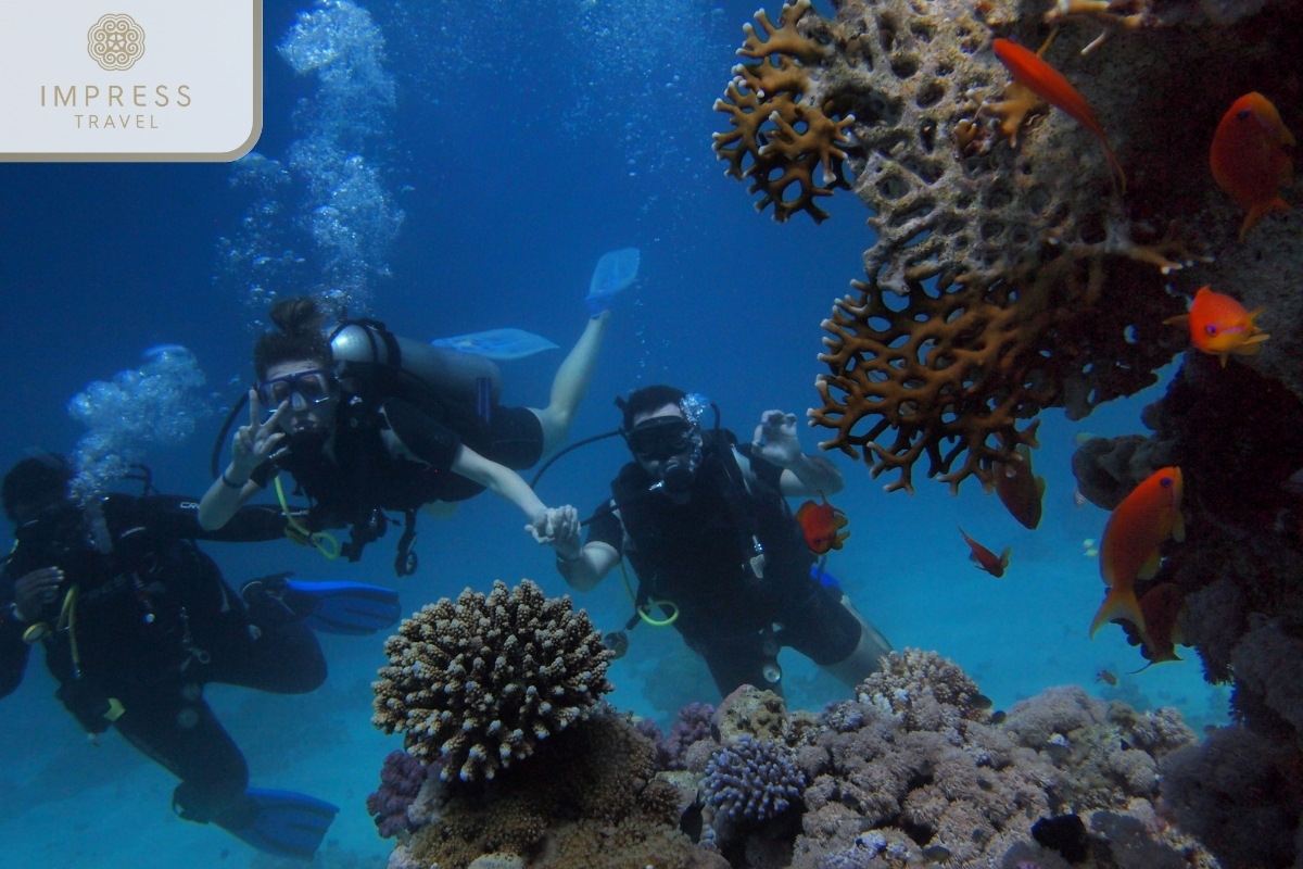 Snorkeling and Scuba Diving