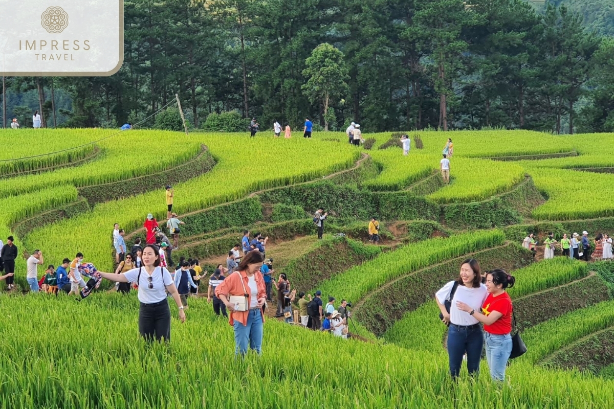 Check in at terraced fields-what to avoid when traveling to Mu Cang Chai 