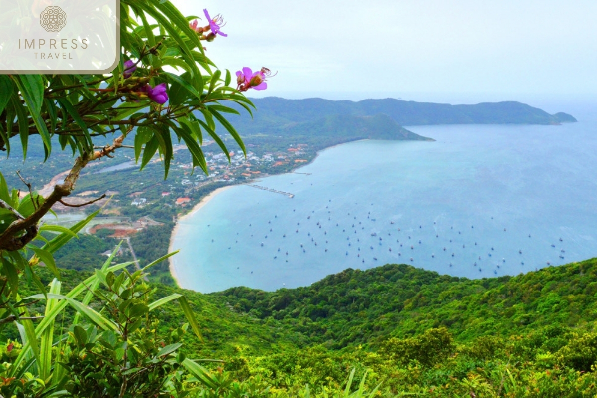 Adventure and Sports in Yen Ngua Beach in Da Nang