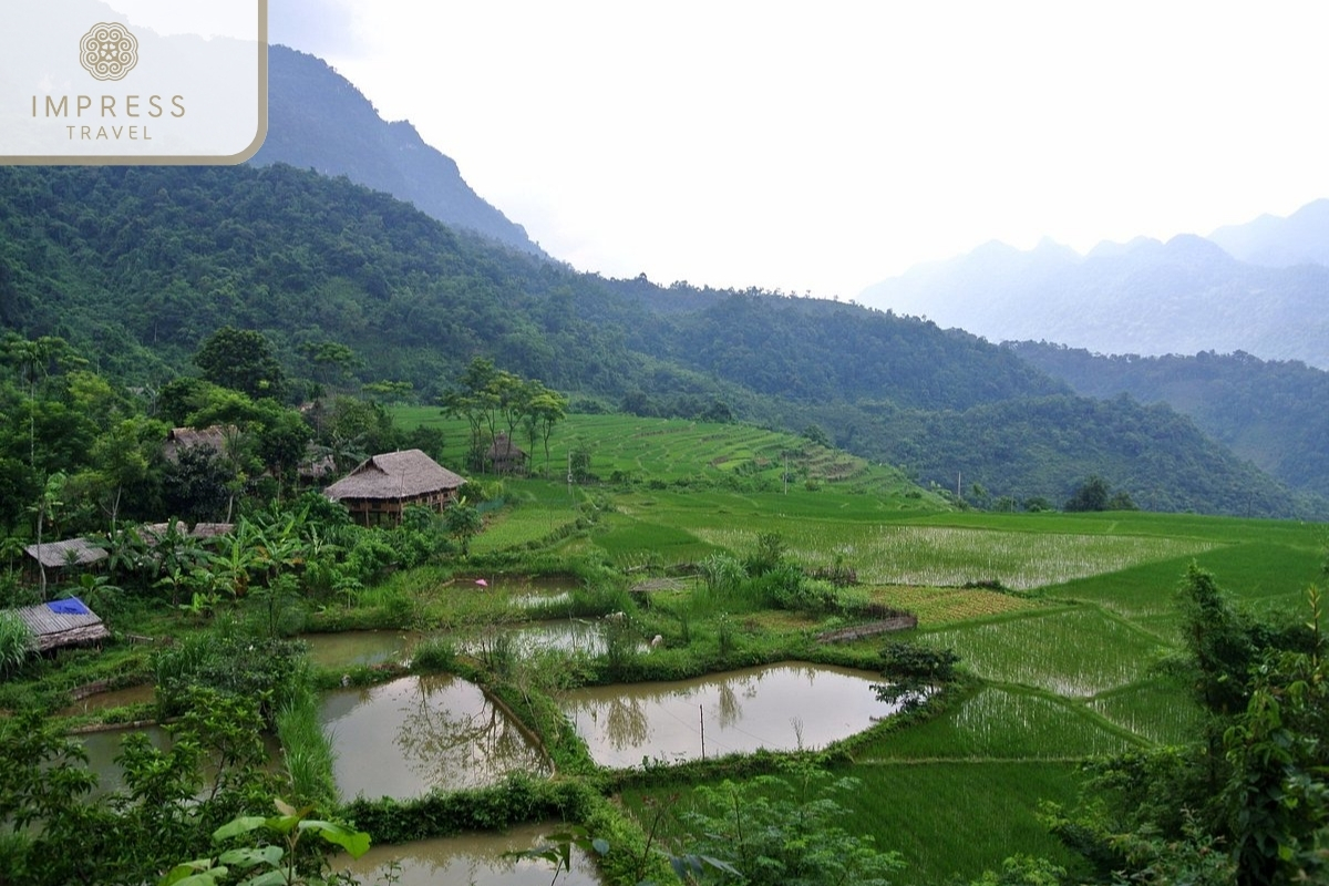 Pu Luong Nature Reserve