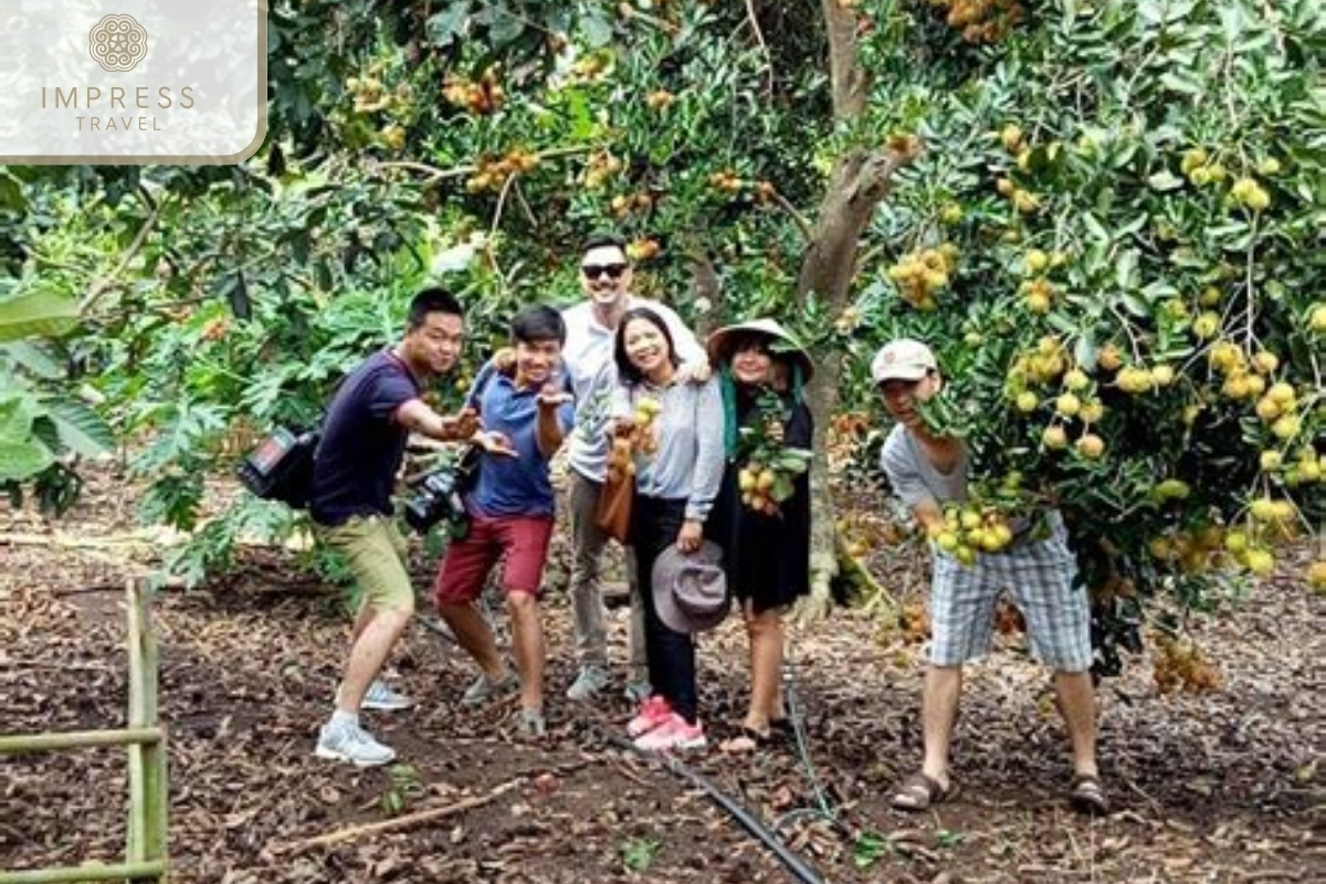 Fruit Garden in Ben Tre Homestay Tour in the Mekong Delta