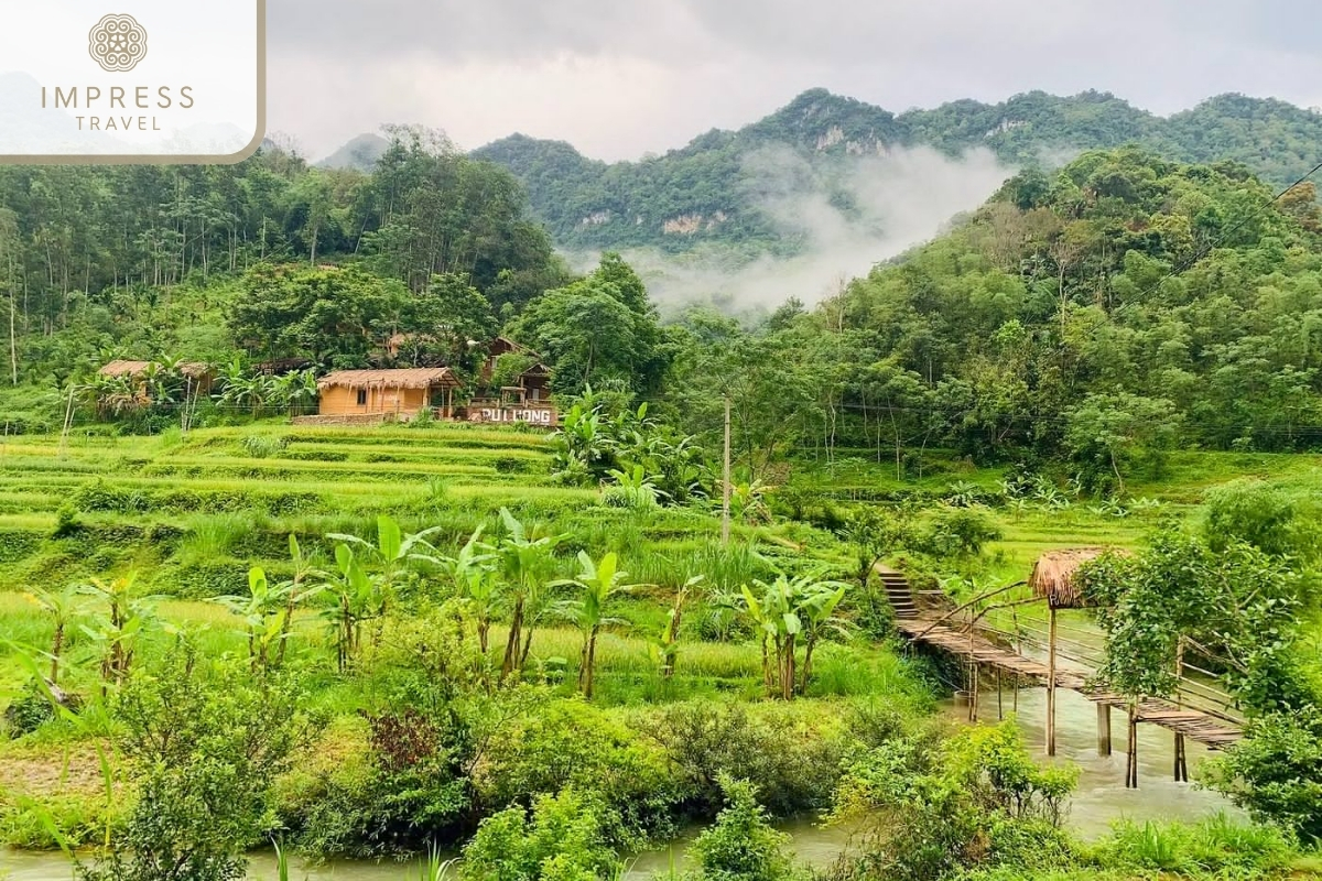 Pu Luong Nature Reserve in Pu Luong Hiking Tour