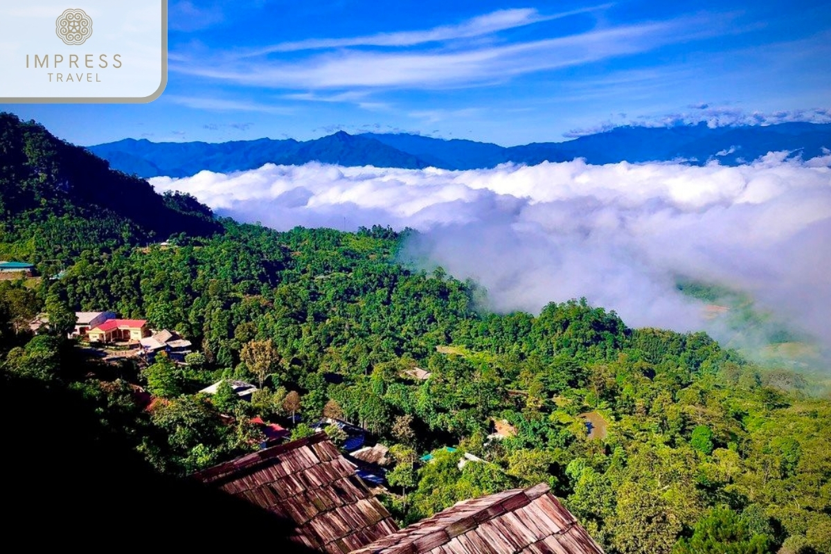 Suoi Giang Tea Plantations of Motorbike Rides and Trekking in Mu Cang Chai