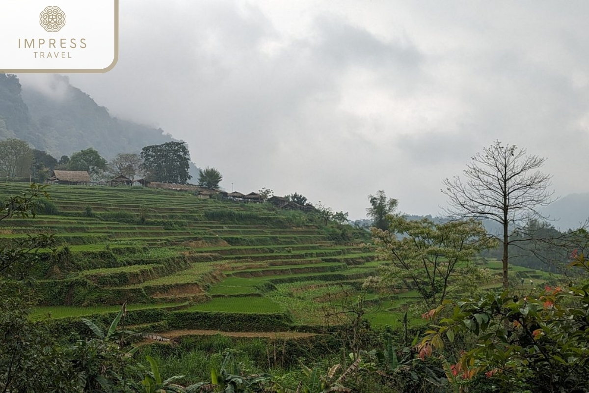 Exploring Pu Luong in Mai Chau and Pu Luong Tour