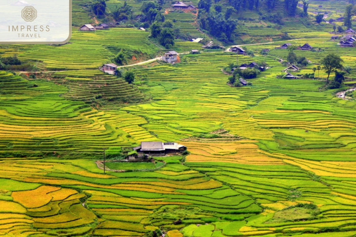 Khau Pha Pass of the Mu Cang Chai to Muong Hoa Valley and Lai Chau Tour