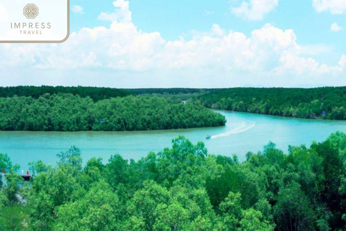 Mangrove Forest Boat Ride in Mekong Delta and Cambodia Tour Package