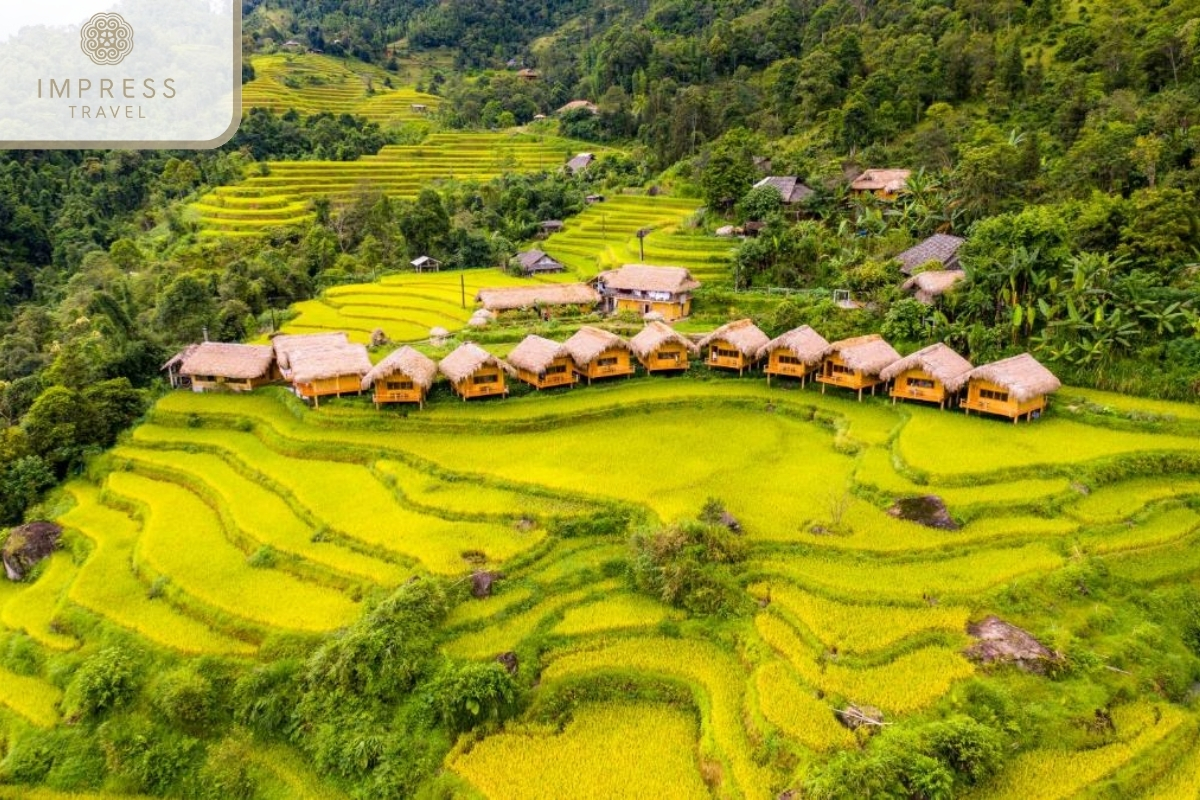 Hoang Su Phi of the Motorbike Tour to Ha Giang, Sapa, and Mu Cang Chai