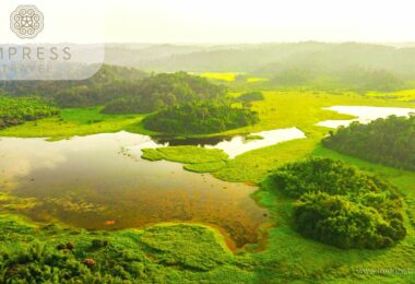 Nam Cat Tien National Park