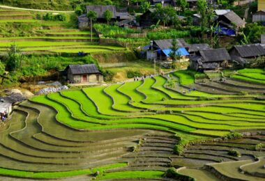 Ta Van Village in Sapa