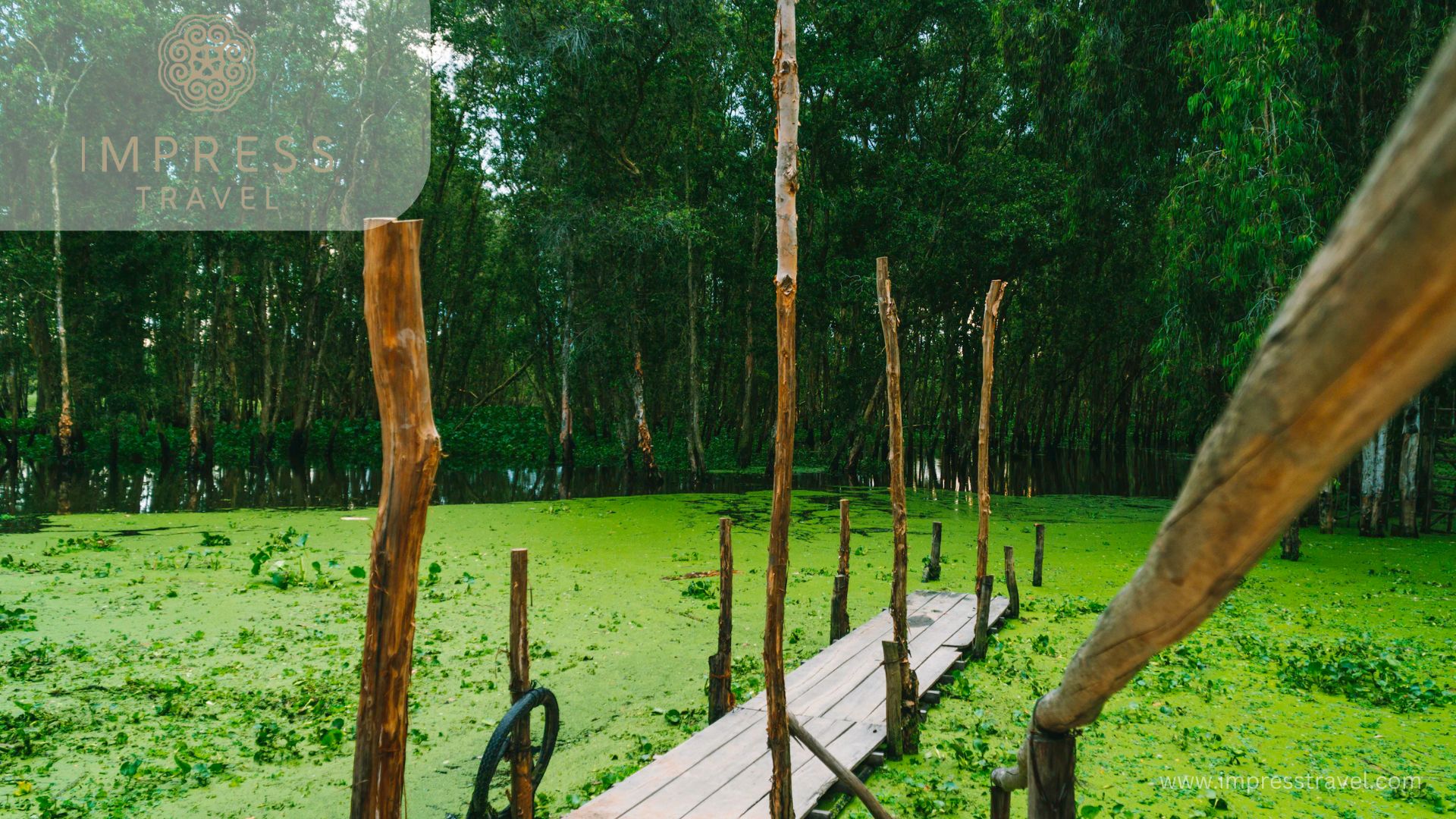 Bamboo bridge