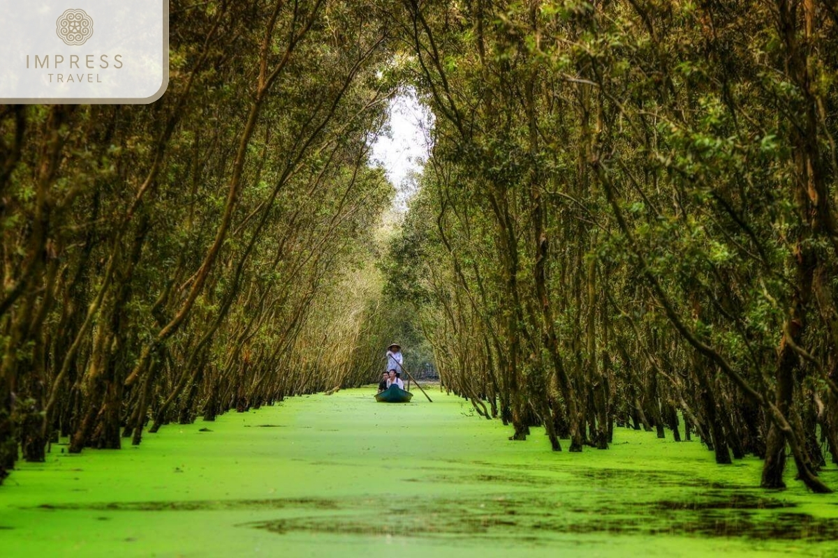 Tra Su Forest of the Saigon - Can Tho - Chau Doc - Tra Su Journey