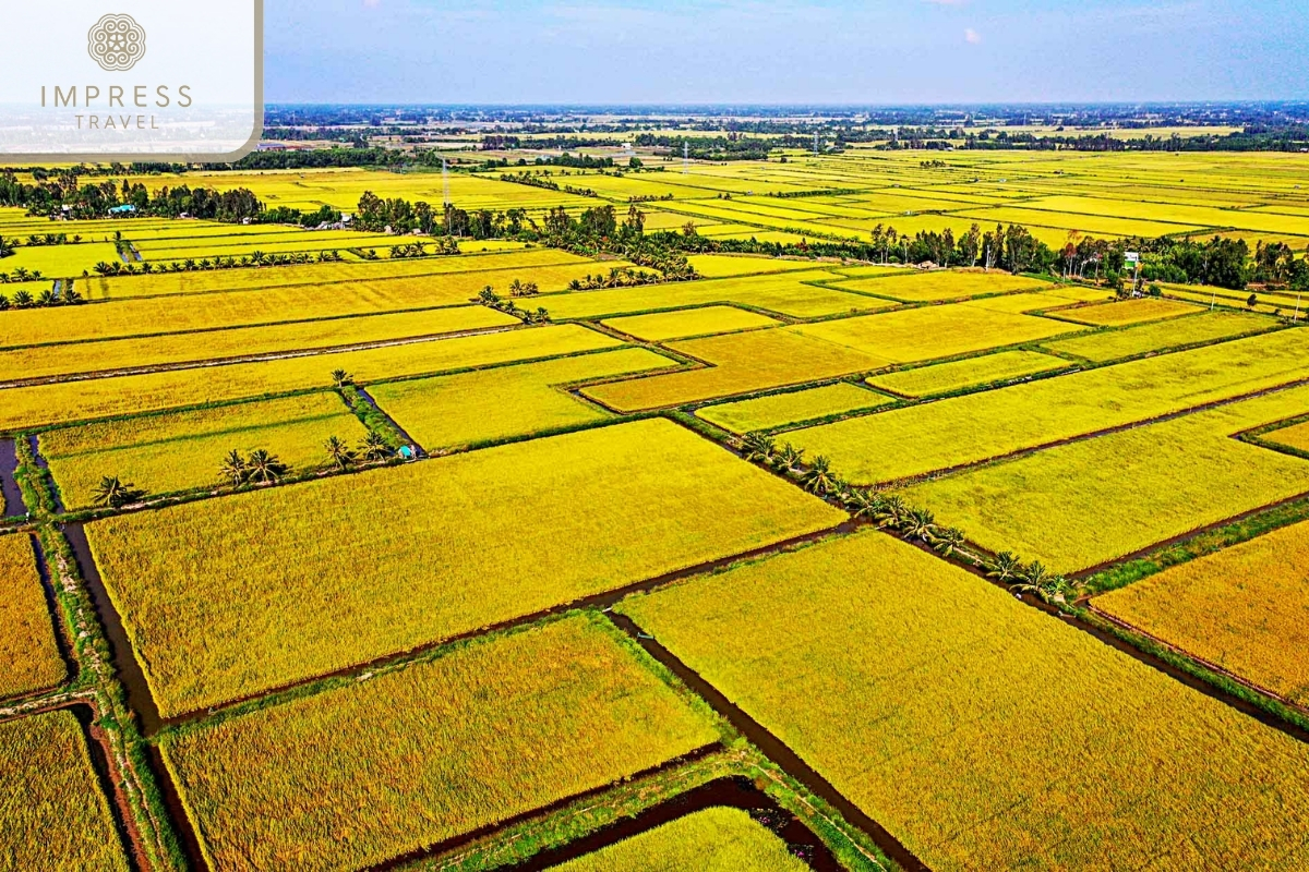 Mekong Delta