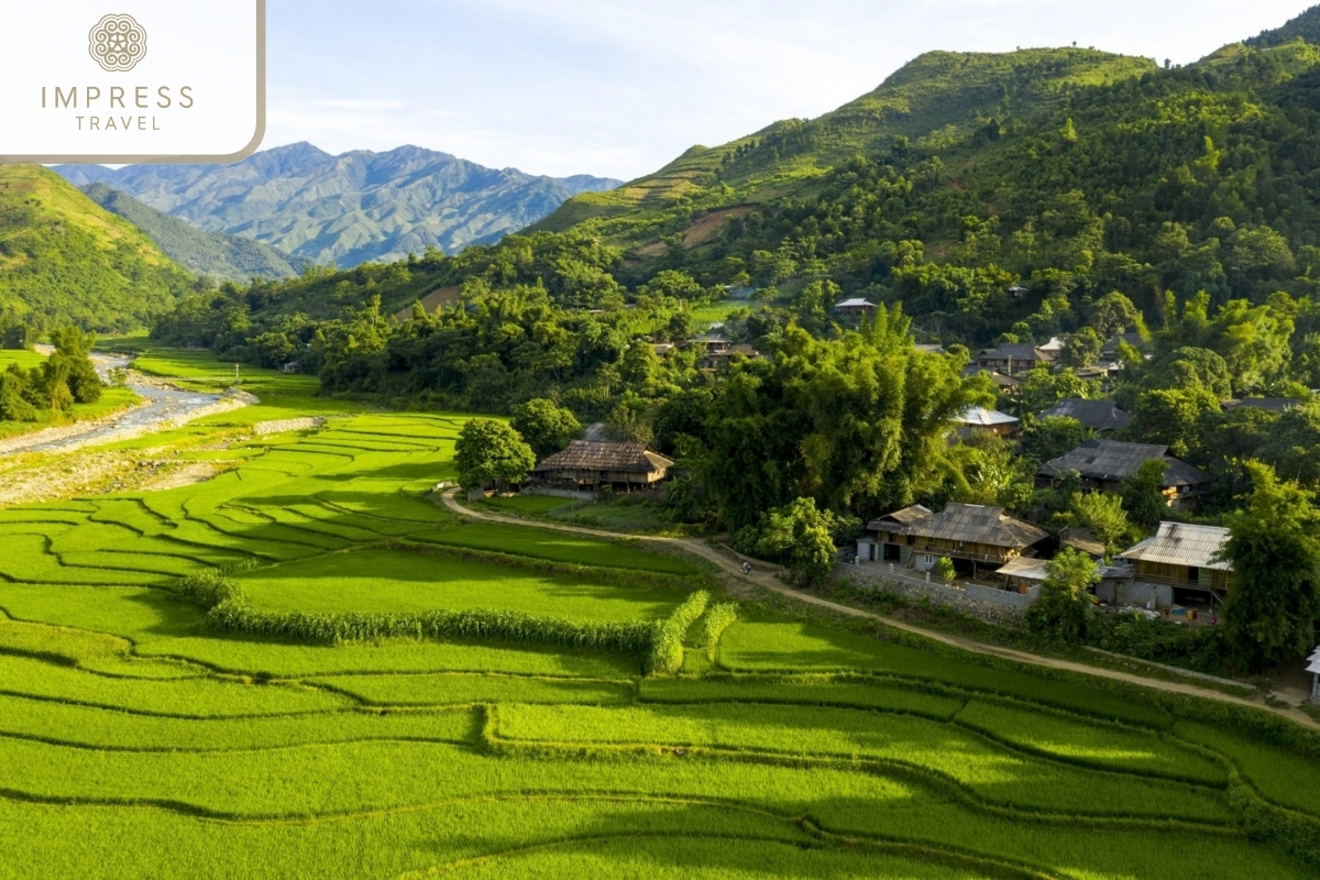 Tu Le of the Exploration of Mu Cang Chai and Tram Tau