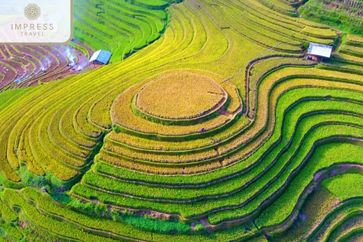 Mam Xoi Hill on a Trekking Tour in Mu Cang Chai