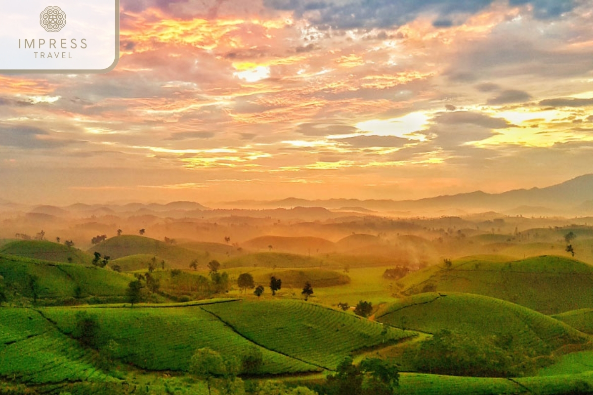 Long Coc Tea Hills in Cu Vai Village and Mu Cang Chai Tour