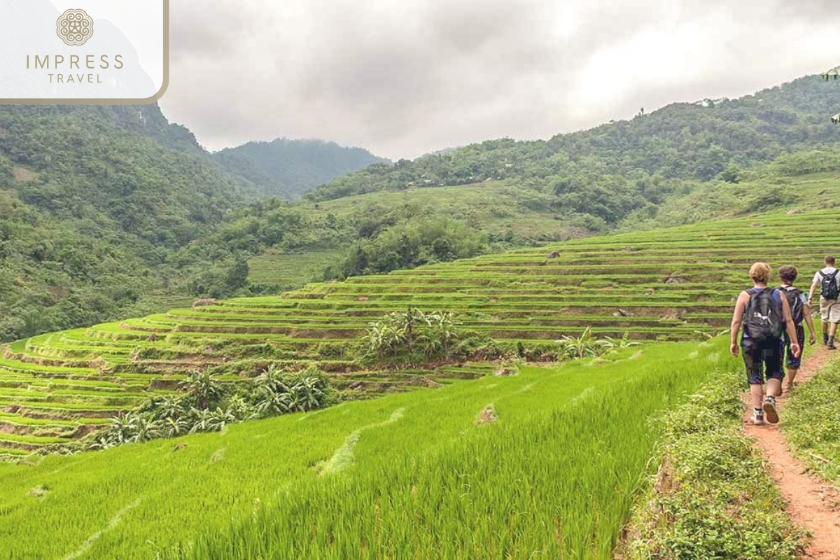 Trekking in Pu Luong