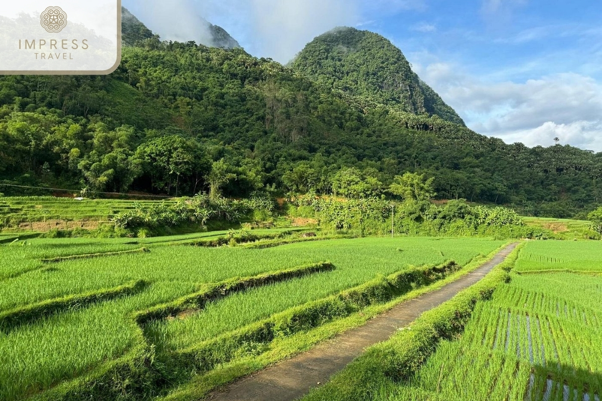 Pu Luong Nature Reserve on an Offbeat Trekking Tour in Pu Luong